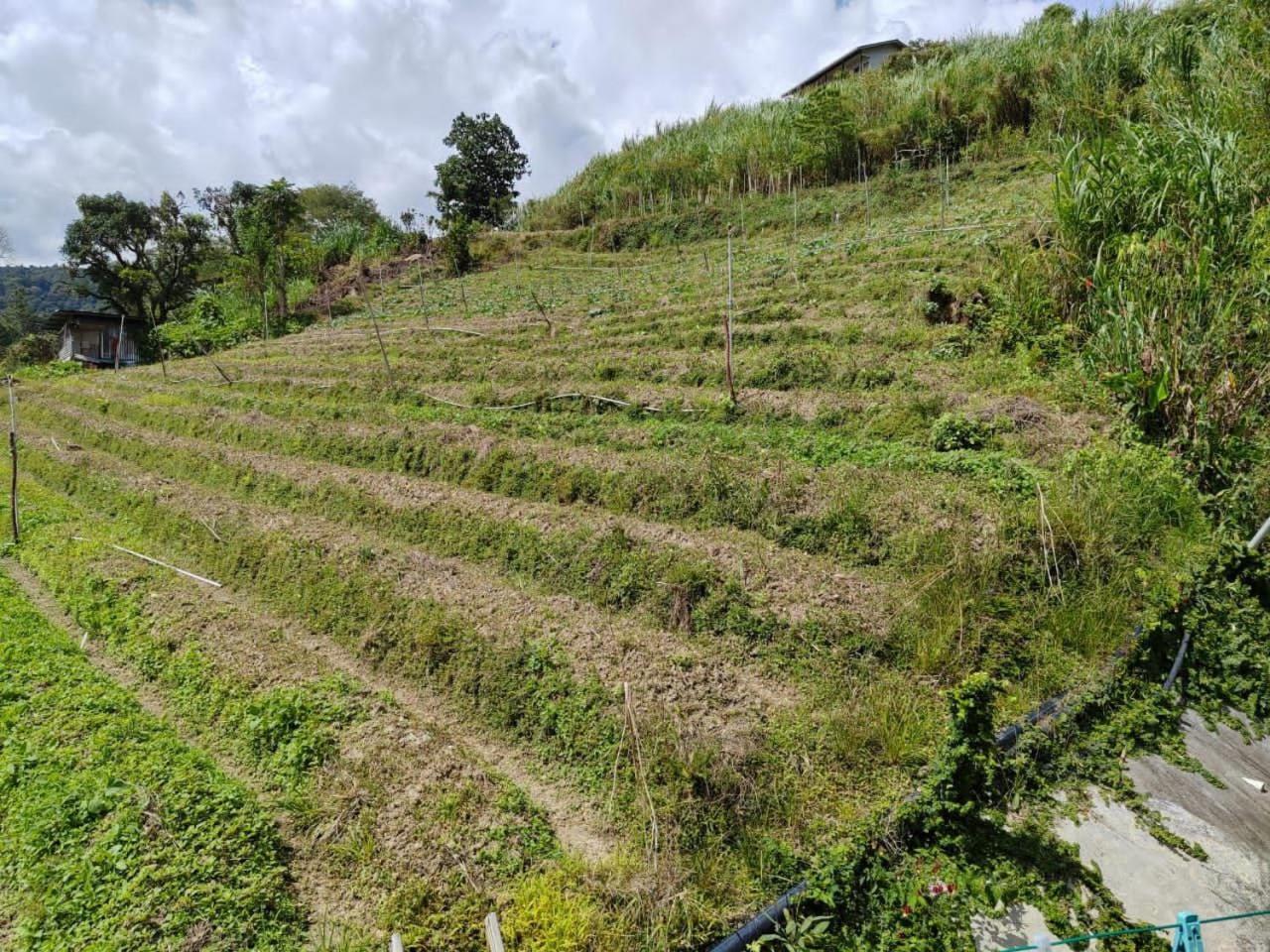 Kundasang Mount Garden Экстерьер фото