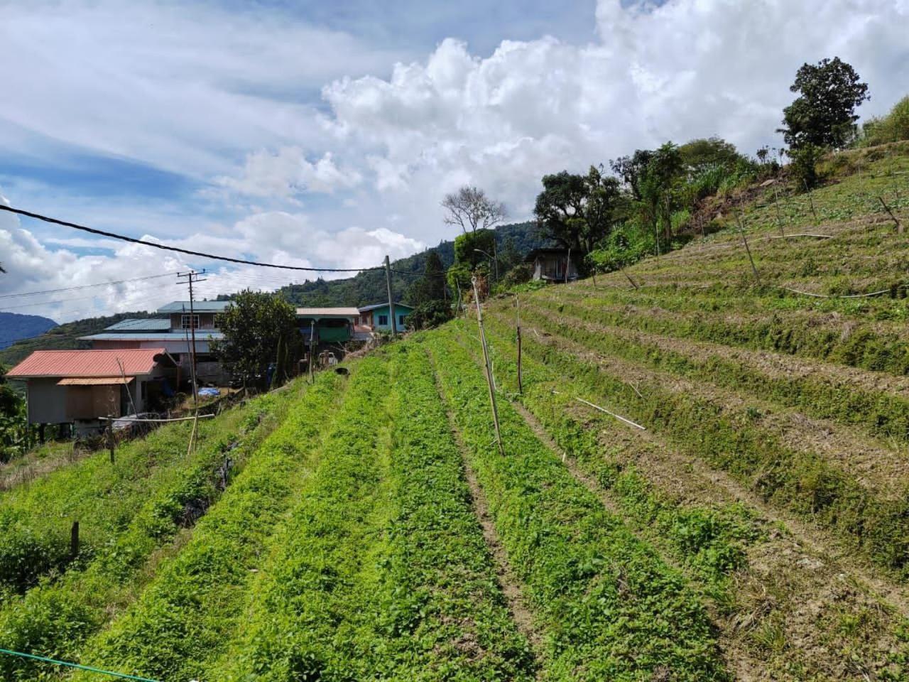 Kundasang Mount Garden Экстерьер фото